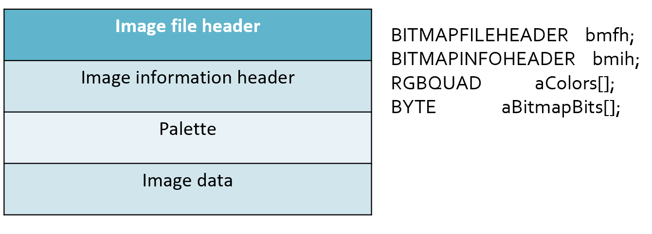 BMP